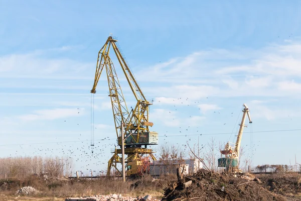 Cranes at the port on the Danube town of Lom, Bulgaria — Stock Photo, Image