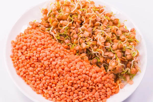 원시 빨간 렌즈콩과 화이트에 콩나물의 혼합물 — 스톡 사진