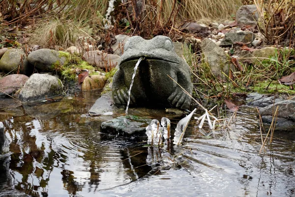 Water-spouting frog made of stone at the garden pond
