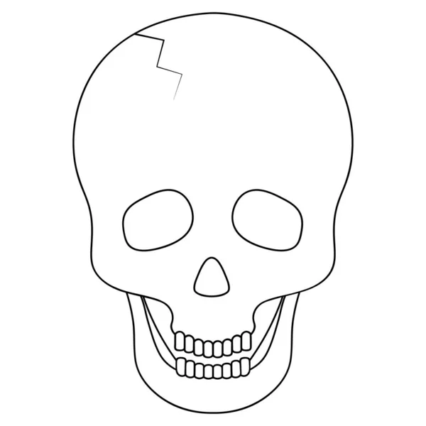 Crâne Humain Croquis Fissure Front Illustration Vectorielle Cadre Osseux Tête — Image vectorielle