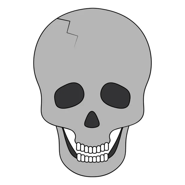Crâne Humain Cadre Osseux Tête Illustration Vectorielle Une Partie Intégrante — Image vectorielle