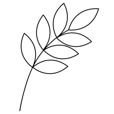Twig with leaves. Sketch. Vector illustration. Colorless plant. Leaves on the stem. Coloring book for children. Doodle style. Outlines on an isolated white background. Idea for web design.