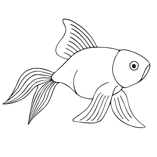 Gold Fish Sketch Fantail Vector Illustration Outline White Isolated Background — Stock Vector