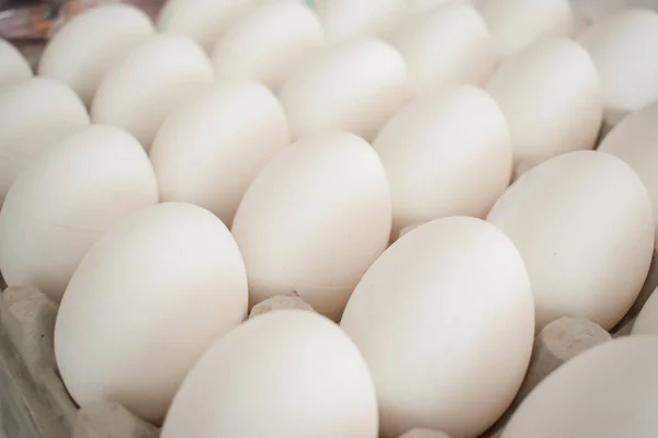 Lots White Eggs Box — Stock Photo, Image