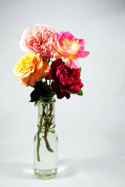 Rosas Coloridas Vaso Transparente Sobre Fundo Branco — Fotografia de Stock