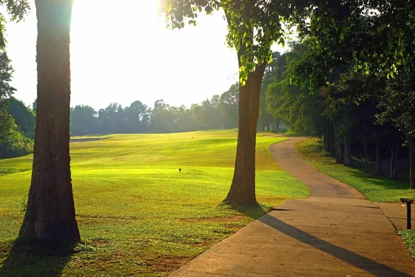 Ранкове Світло Зеленій Траві Поля Гольфу Довга Прогулянка — стокове фото