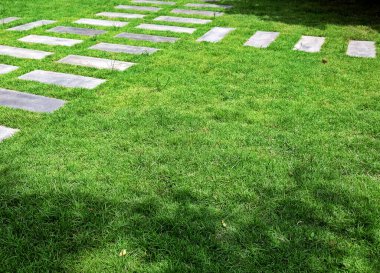 Yeşil çimen parkındaki patika.