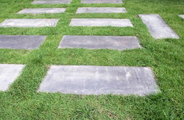 Yeşil çimen parkındaki patika.