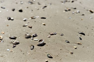 Kumsal kum dokusu. Arka plan için kum denizi.