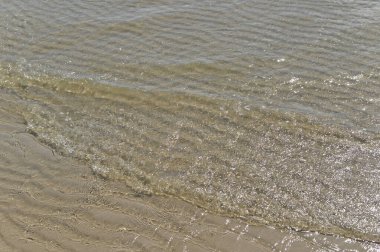 Tropik plaj, yaz denizi.