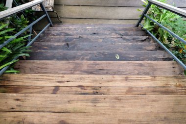 Ormandaki tahta merdivenler. doğal arkaplan