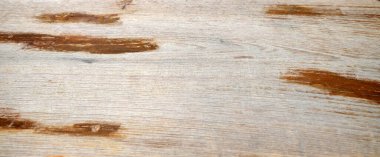 Tasarım ve dekorasyon için ahşap doku