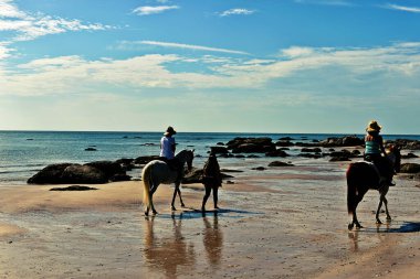 Sahilde at yürüyüşü. Tayland 'da Hua Hin plajı.