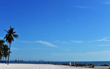 Tropik plaj, yaz denizi güneşli arka plan