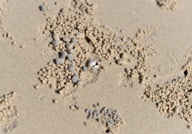 Kumsal kum dokusu. Arka plan için kum denizi.