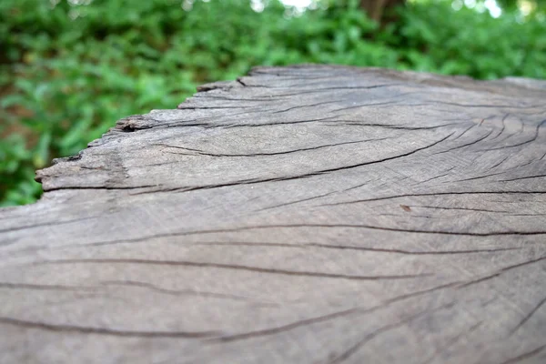 Empty Wood Table Top Blur Abstract Green Garden Morning Background — Stock Photo, Image