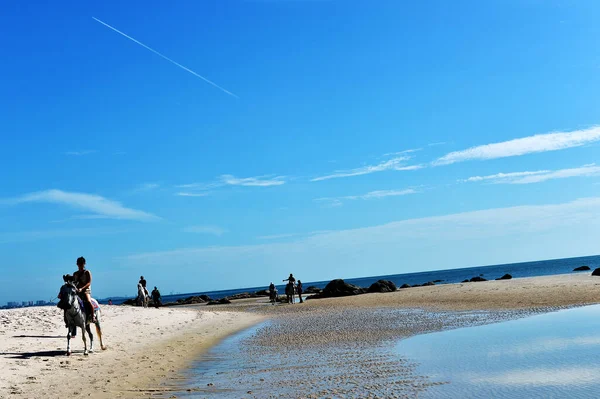 Passeggiata Cavallo Sulla Spiaggia Estate Tropicale Hua Hin Sfondo Spiaggia — Foto Stock