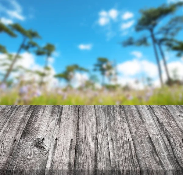 Empty Wood Table Top Blur Abstract Green Forest Morning Background — Stock Photo, Image