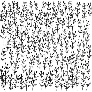 Kırsal dekoratif bitkiler ve çiçek koleksiyonu. El çizimi klasik tasarım elementleri. - Çizim tarzında vektör çizimleri