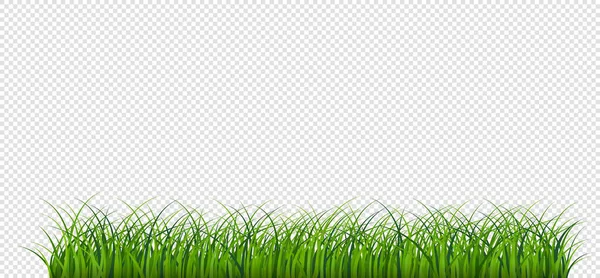 Green Grass Border Vector Pattern Spring Summer Plant Field Lawn — Stock Vector