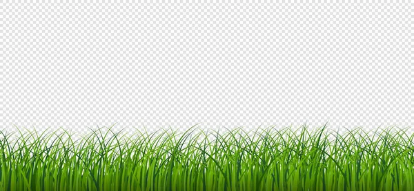 Fondo Transparente Verde Hierbaストックベクター ロイヤリティフリーfondo Transparente Verde Hierbaイラスト ページ 5 Depositphotos Fondo Transparente Verde Hierbaストックベクター ロイヤリティフリーfondo Transparente Verde Hierbaイラスト ページ 5 Depositphotos