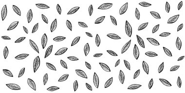 Beyaz arka planda izole edilmiş tropikal yaprak deseni. Çiçek tasarım elementleri. Düğün davetiyeleri, tebrik kartları, bloglar, posterler. vektör - Görüntü