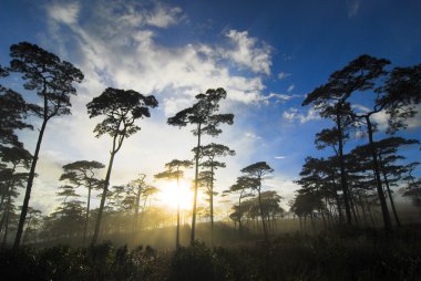 Siluet Peyzaj ve Phu Soi Dao Milli Parkı Tayland seviyesindeki