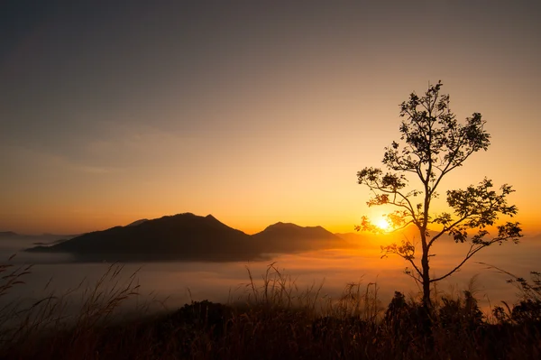 Ландшафт восхода солнца на фоне гор и неба — стоковое фото