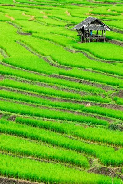 Mae Chaem — Fotografia de Stock