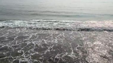 Tropikal sahil sahili güneşli bir gün