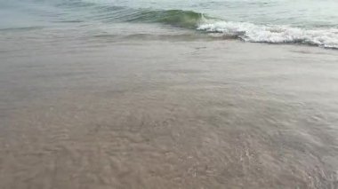 Okyanus dalgaları ve deniz doğası yazı