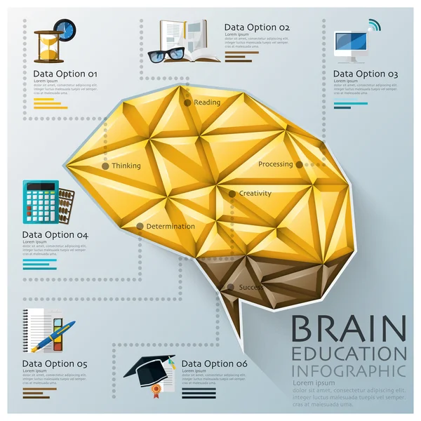 Mózg kształt trzech wymiar wielokąt edukacji infographic — Wektor stockowy
