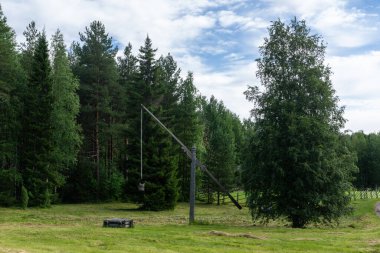 Puşkin Mikhailovskoe yaz bulutlu gününde klasik Rus kuyusu turtası