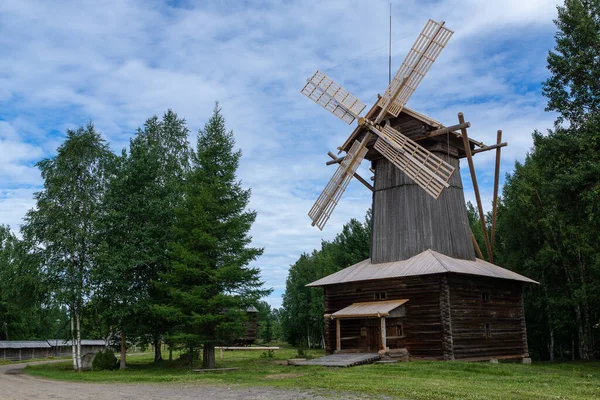 Старая деревянная мельница стоит по краям леса — стоковое фото