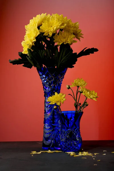 Blaue Vase mit gelben schönen Blumen auf rotem Hintergrund — Stockfoto