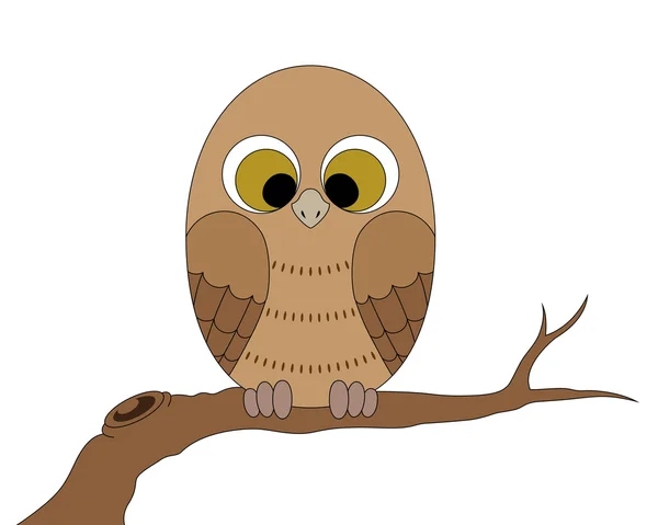 Bir dal üzerinde oturan Kukumav. 