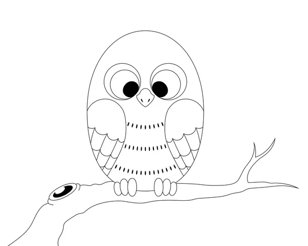 Bir dal üzerinde oturan Kukumav. 