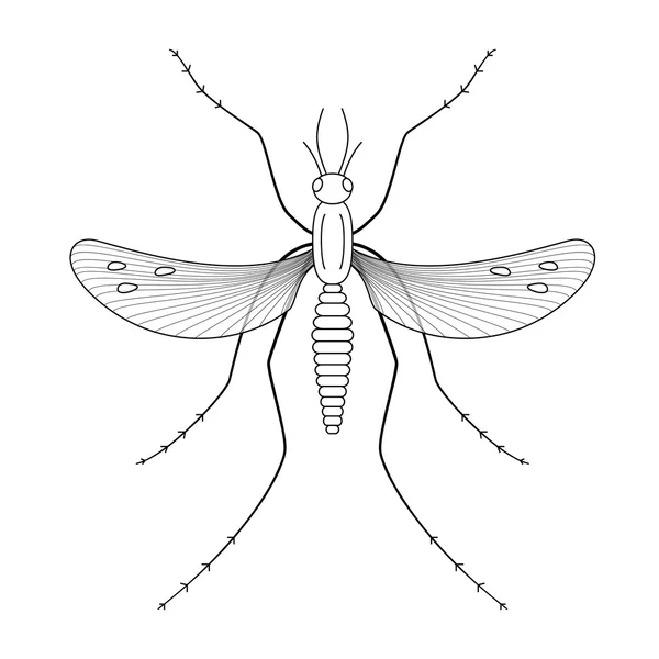 Doğa, sivrisinekler hastalık verici Uzunbacak.