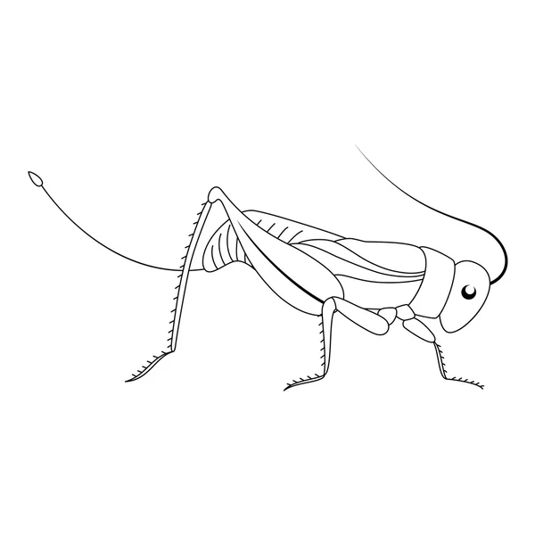 昆虫。かわいい漫画のバッタ. — ストックベクタ