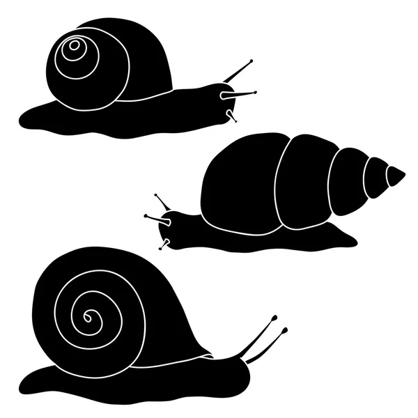 Ensemble d'escargots noirs. Dessin main . — Image vectorielle