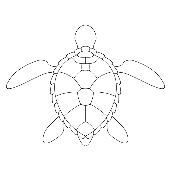 Silueta estilizada de una tortuga . — Vector de stock