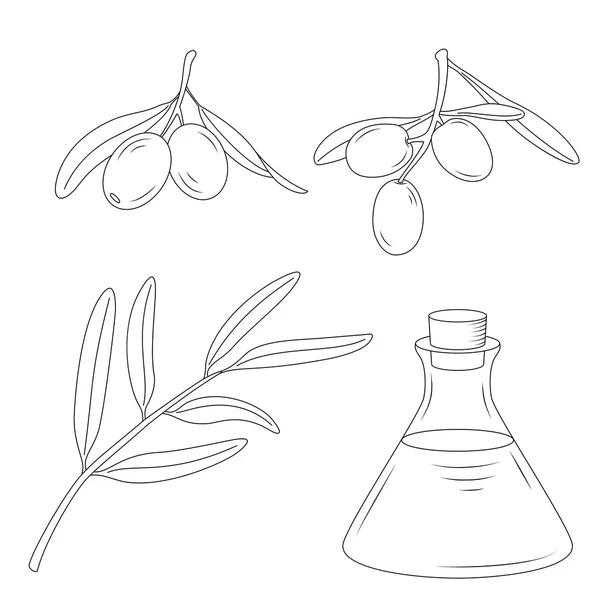 オイル、オリーブの木の枝のボトル. — ストックベクタ