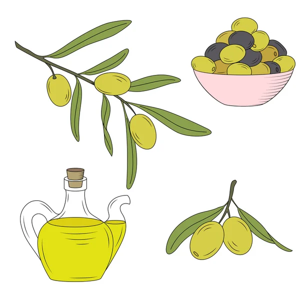 Бутылка масла и ветвь оливкового дерева . — стоковый вектор