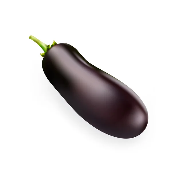 Aubergine noire sur fond blanc — Image vectorielle