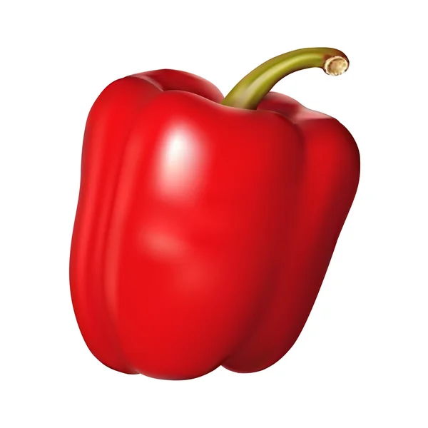 Κόκκινη πιπεριά σε λευκό φόντο — Διανυσματικό Αρχείο