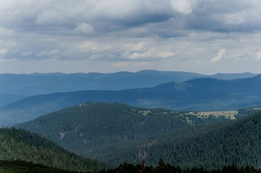 Bukovel manzaralı. Ukrayna 'da seyahat. Dağlar