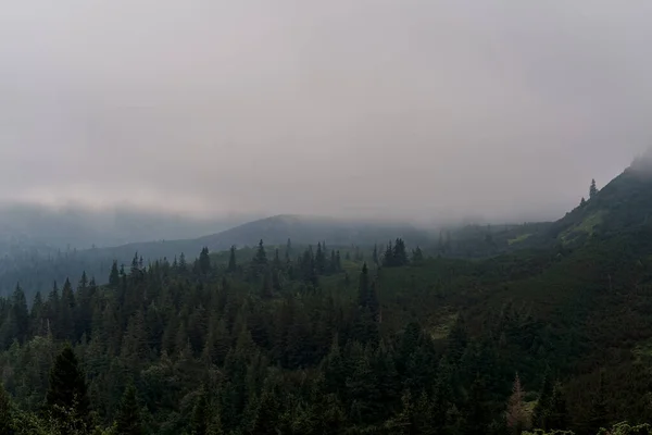 Dusk in the mountains before a storm and a thunderstorm on a rainy and foggy day. Severe weather conditions. Peaks of the Carpathian Mountains