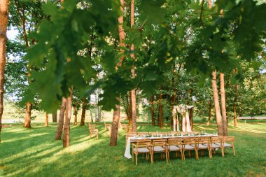 Ormanda köy dekorasyonu olan bir düğün masası. Evlilik kutlaması güzel bir yerde.