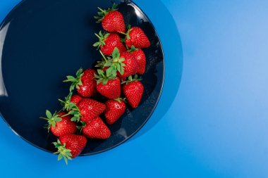Mavi arka planda bir sürü çilek var. Yaz mevsimi kırmızı meyvesi