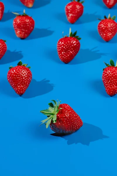 Morango Fruta Madura Sobre Fundo Azul Colheita Baga Vermelha Fresca — Fotografia de Stock